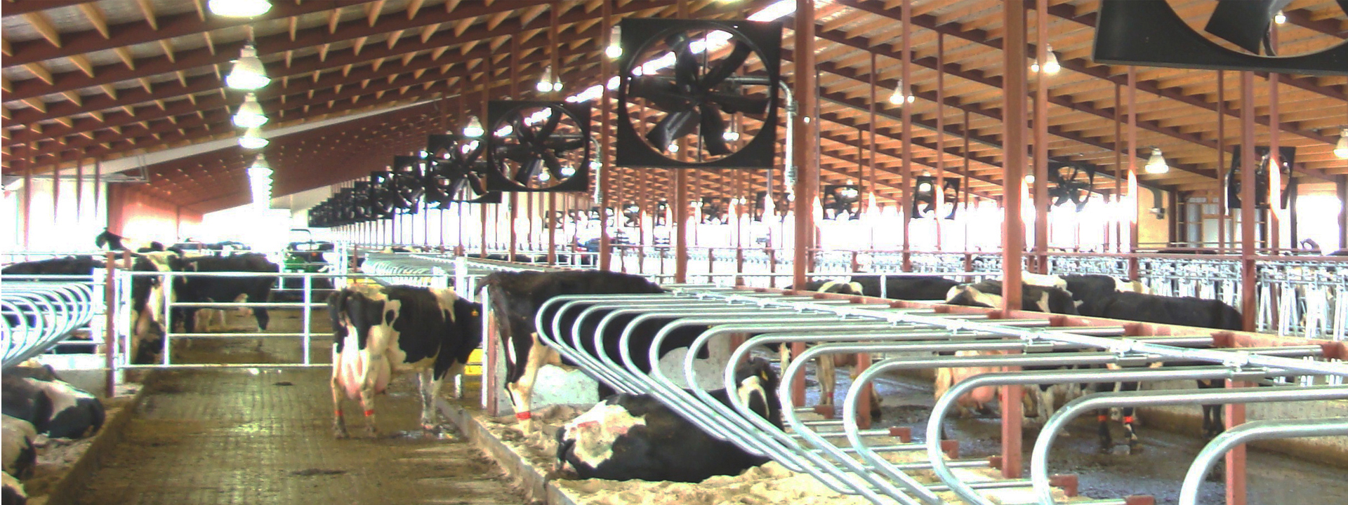 Dairy fans